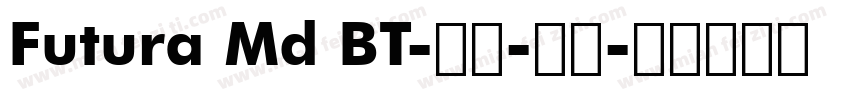 Futura Md BT-粗体-斜体字体转换